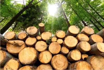 Mit gut aufbereitetem naturbelassenem Holz aus Ihrer Region und einem modernen NMT-Heizkessel heizen Sie umweltbewusst.